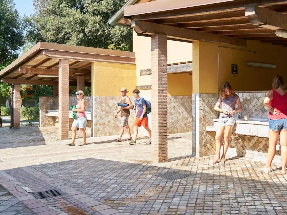 Nice Tent Lodge On A Campsite, Near The Beach, Beautiful Lucca At 27 Km Viareggio Italy