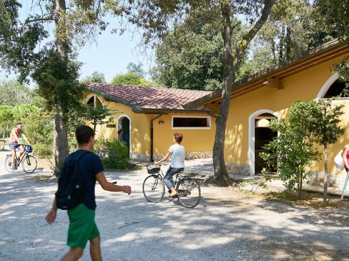 Luxury tent Nice Tent Lodge On A Campsite, Near The Beach, Beautiful Lucca At 27 Km Viareggio Italy