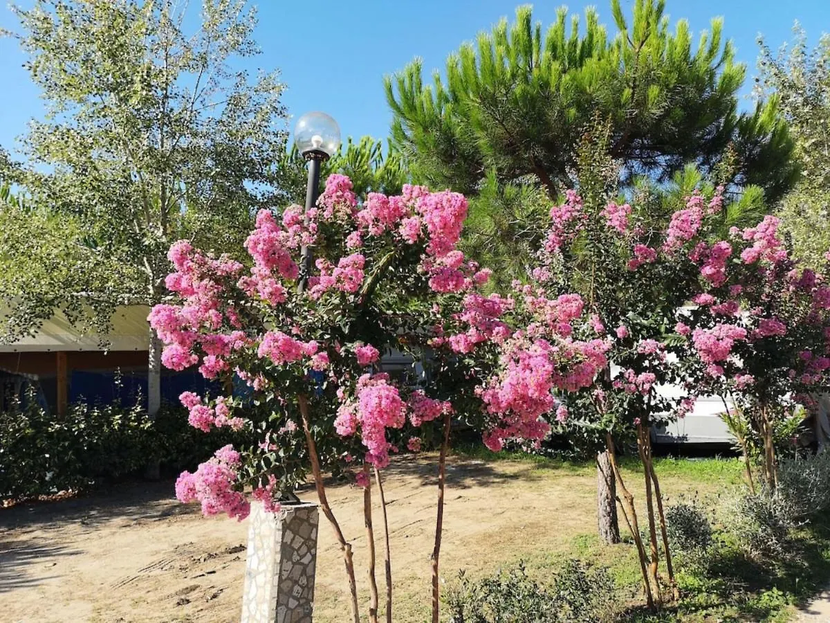 Nice Tent Lodge On A Campsite, Near The Beach, Beautiful Lucca At 27 Km Viareggio Luxury tent