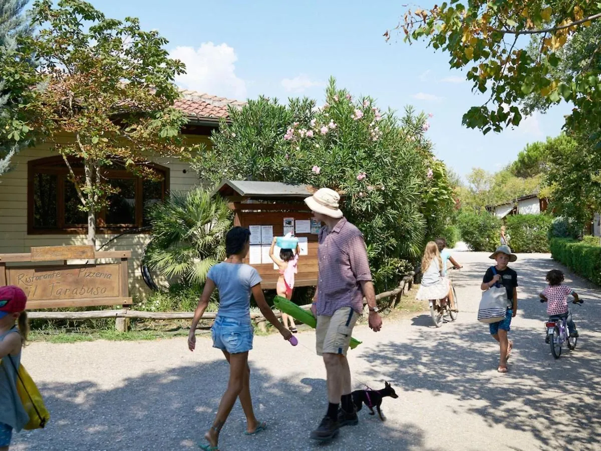 Nice Tent Lodge On A Campsite, Near The Beach, Beautiful Lucca At 27 Km Viareggio Luxury tent